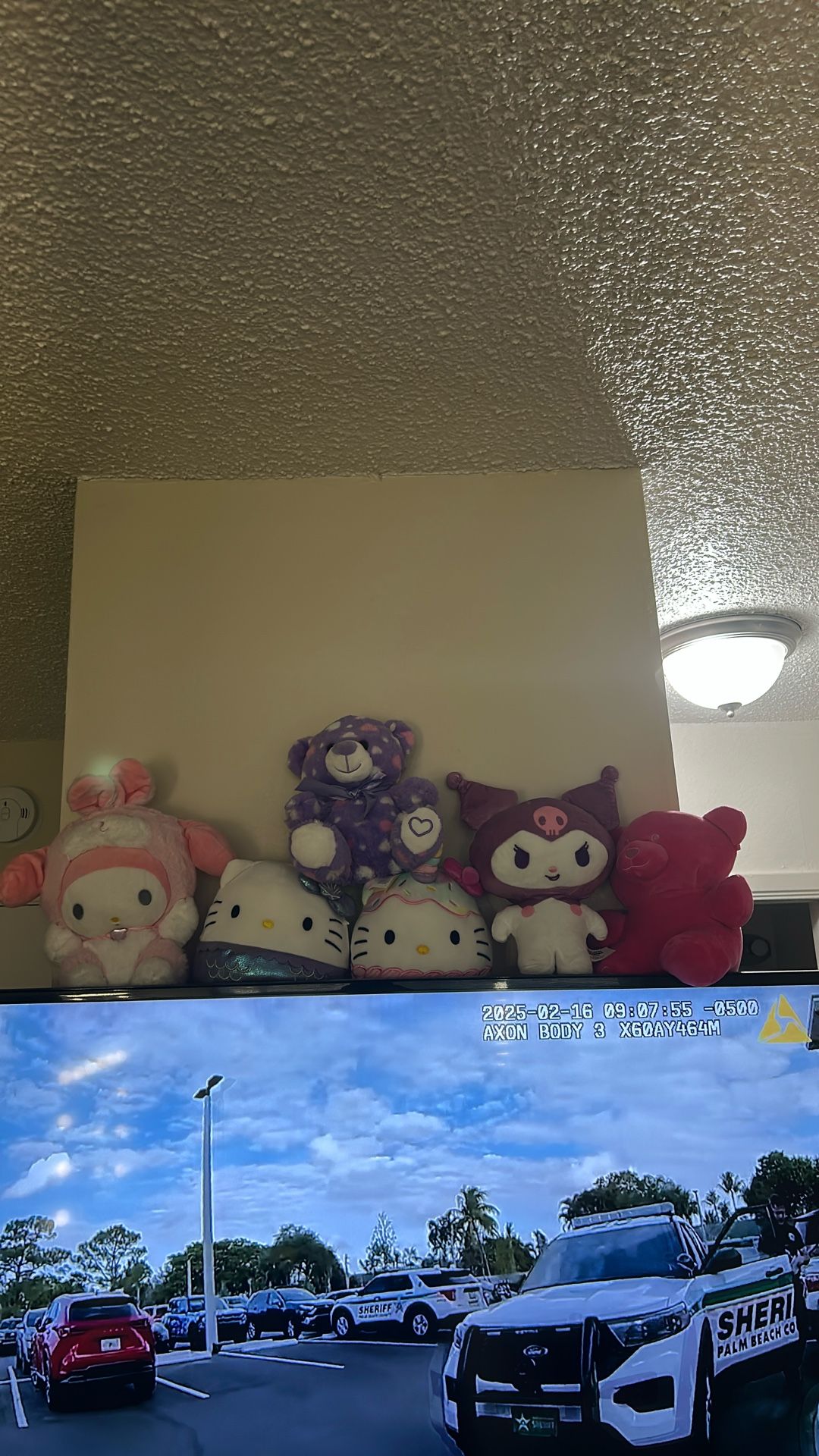 Sanrio Plushies