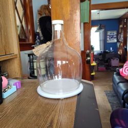 Mud Pie Brand, Cake/Plant Cover