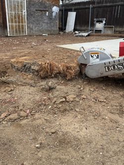 Stump Grinding 