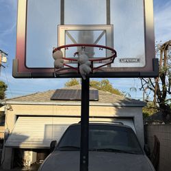 Lifetime basketball adjustable hoop