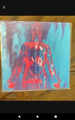 Nirvana Sliver Vinyl 