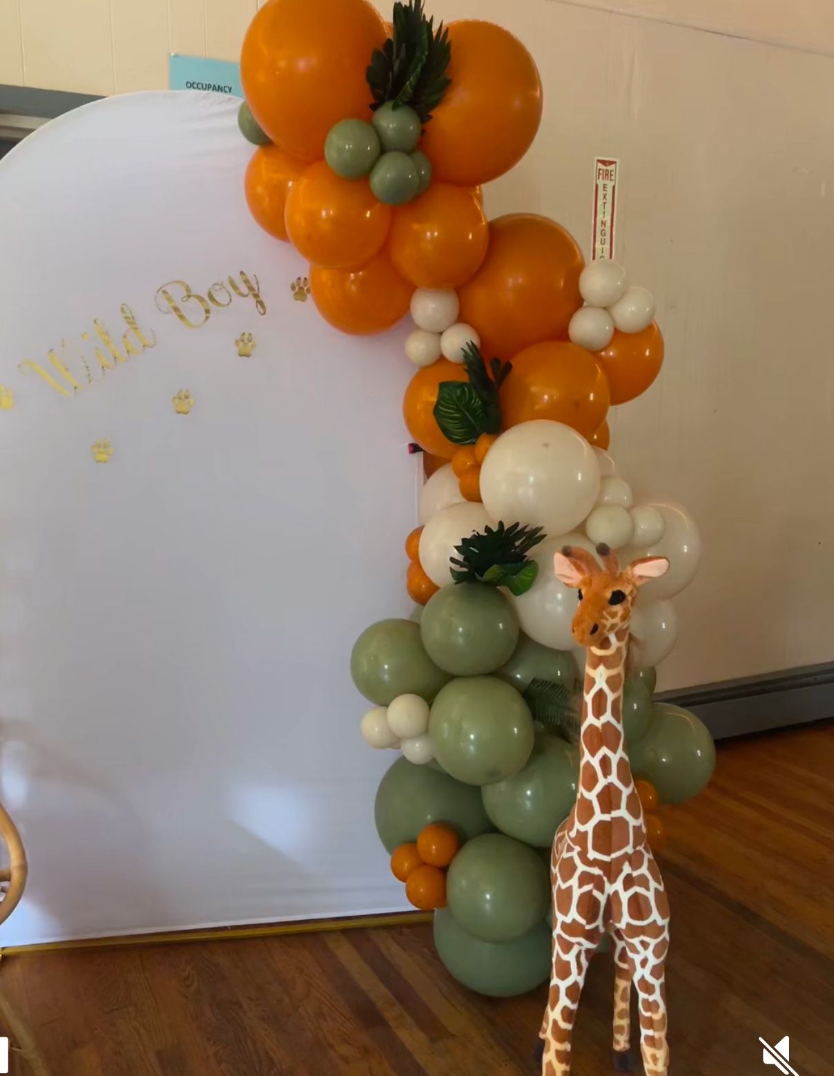 Party Decoration