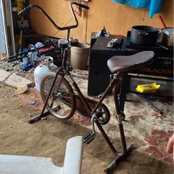 DP Pacer Deluxe Exercise Bike