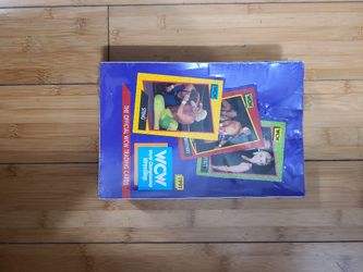 WCW WORLD CHAMPIONSHIP WRESTLING