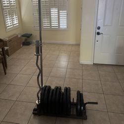 Gym Quality Olympic Weights and Bars