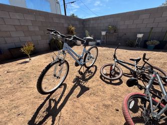 20 and up inch bikes