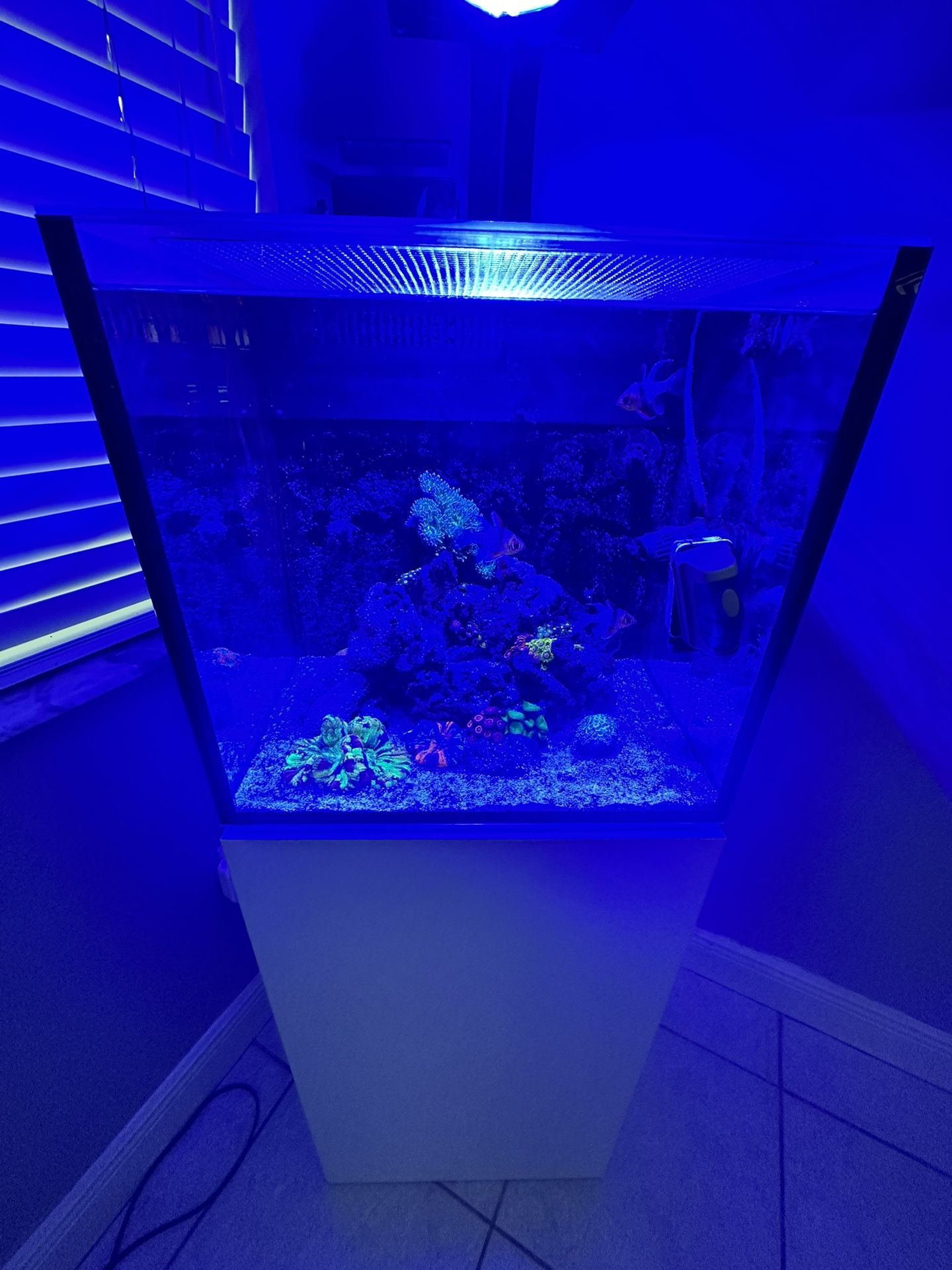 Red Sea Desktop Cube 18.5 Gallons Aquarium