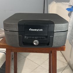 Sentry Safe 