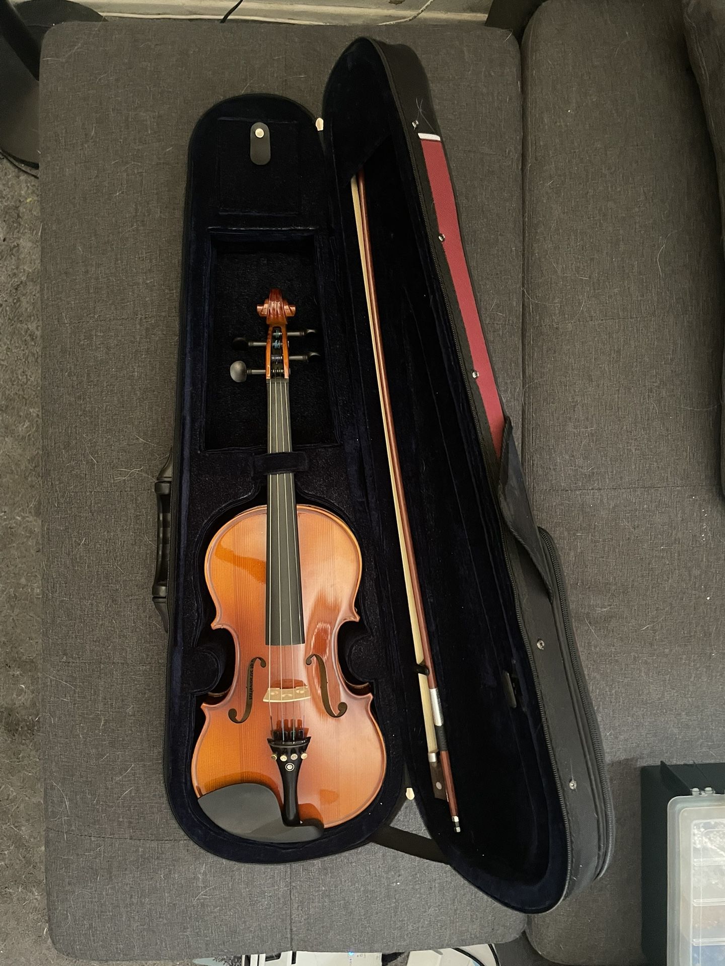 beginner violin for sale