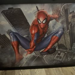 Spider Man Wall Decor