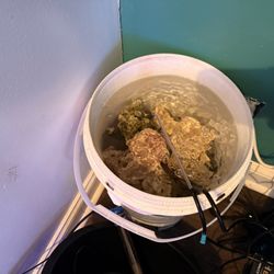 live rock for marine aquarium