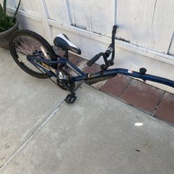 Trailer Bike 