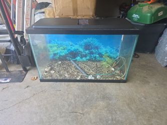 35 gallon fish tank.