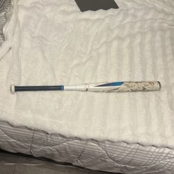 Easton Softball Bat