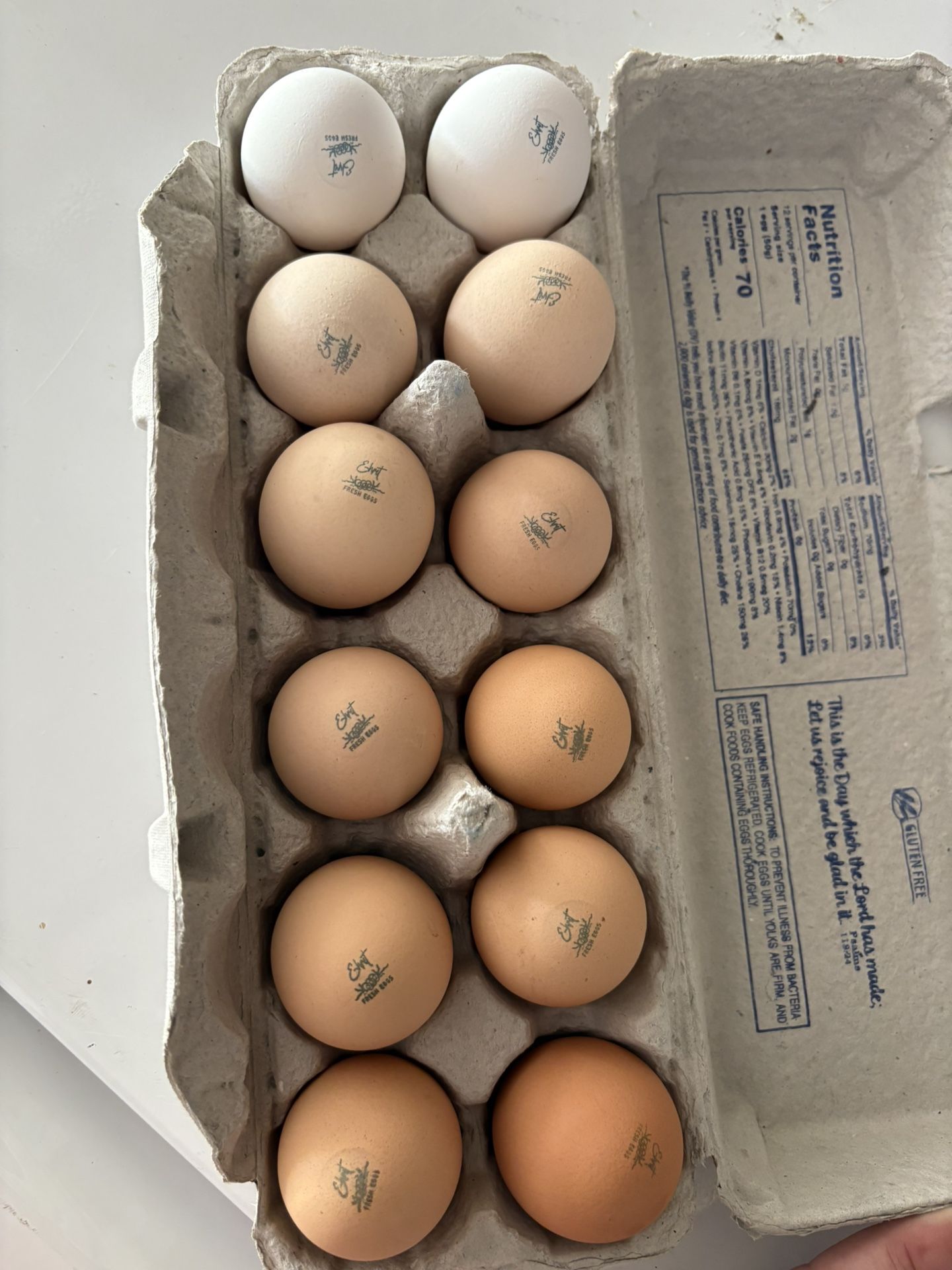Fresh Farm Eggs
