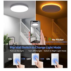 2 Pack ceiling lights 12inch