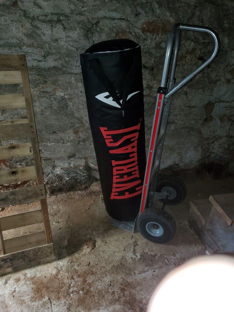 Everlast Punching Bag