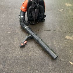 Echo Leaf Blower