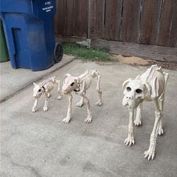 Skeleton Dog Halloween Decorations