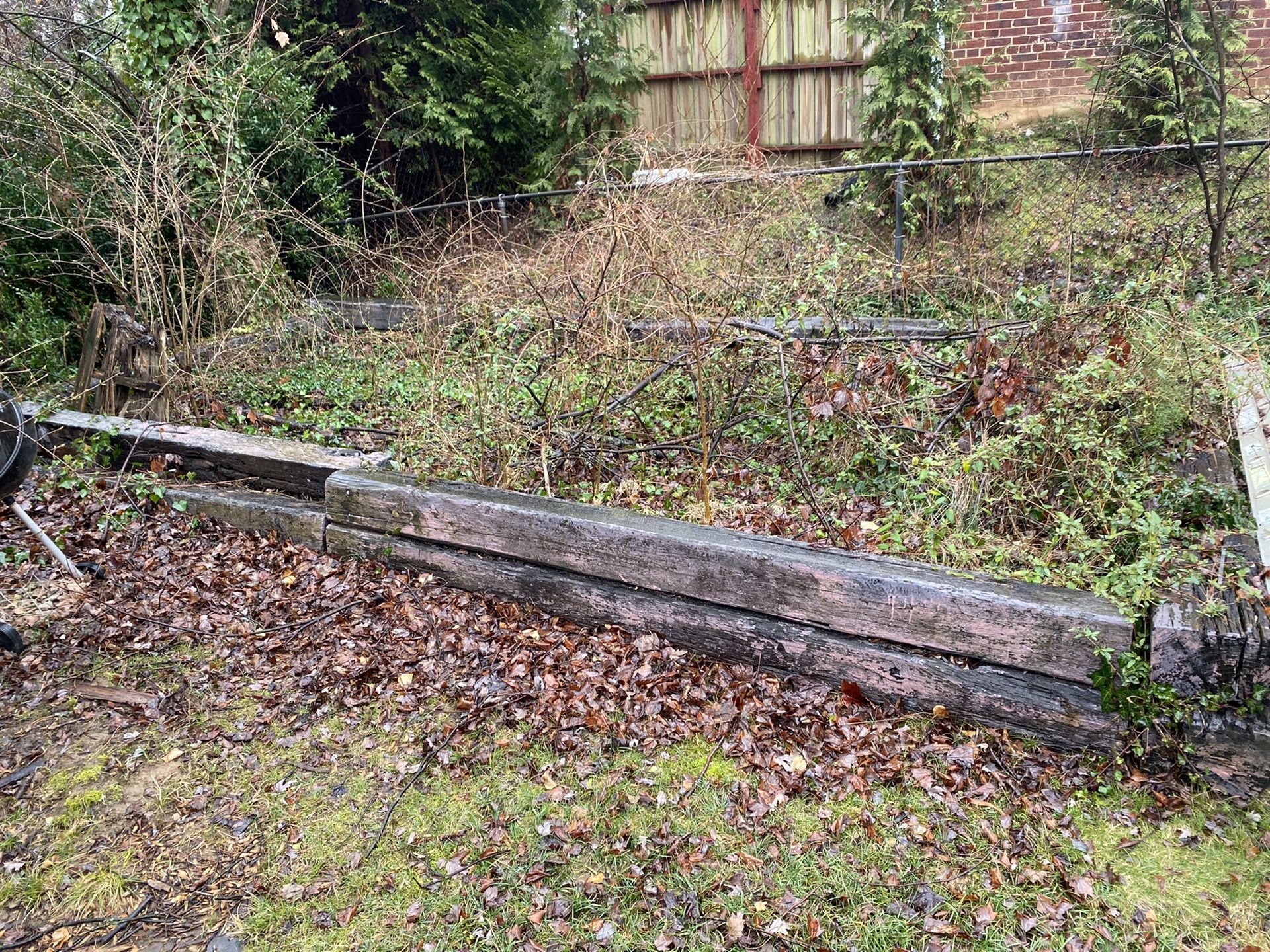 Free wood logs/ can be used for raised garden or retaining wall