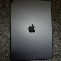 Ipad 10.5in