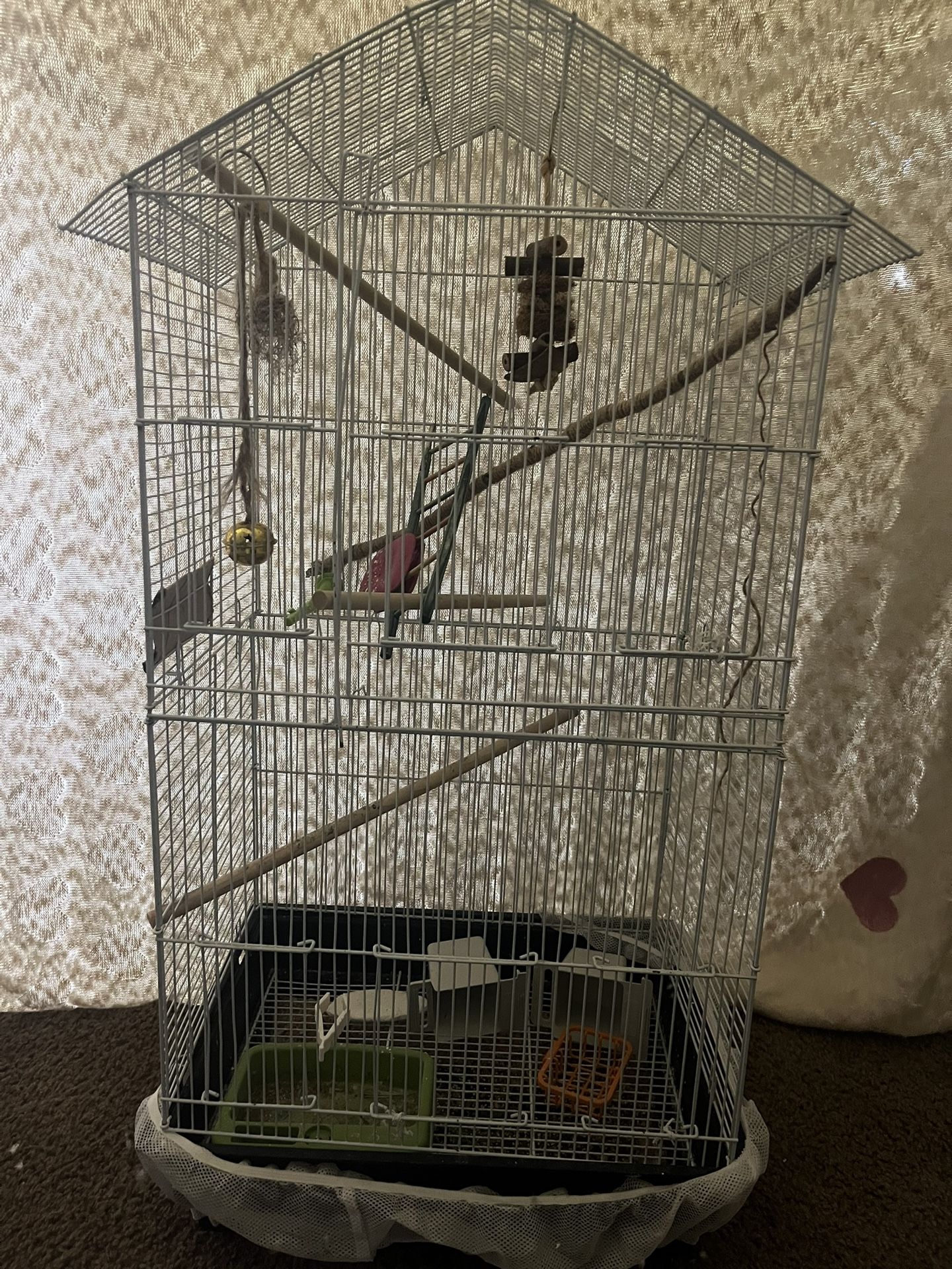 Bird Cage