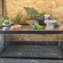 Reptile Terrarium And Decorations 