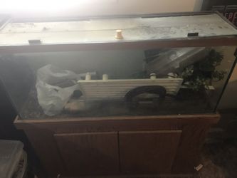 55 Gallon Aquarium With Nice Wood Stand