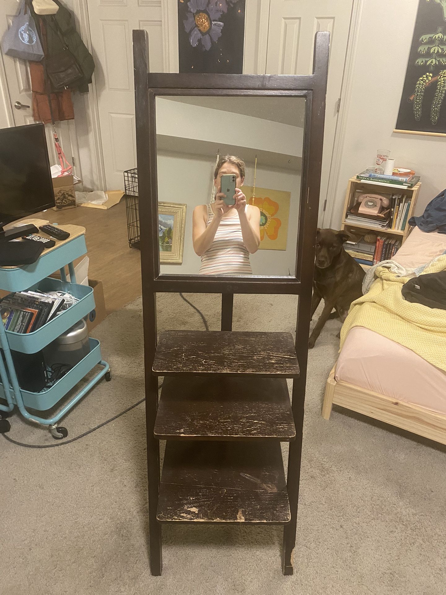Ladder Shelf