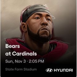 Bear at Cardinals 