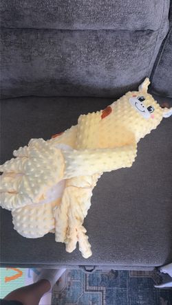 Companion plush pillow
