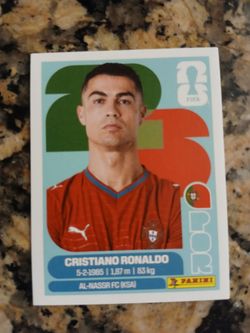 2026 World Cup Panini sticker