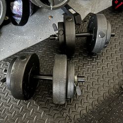 25Lb Dumbbells 