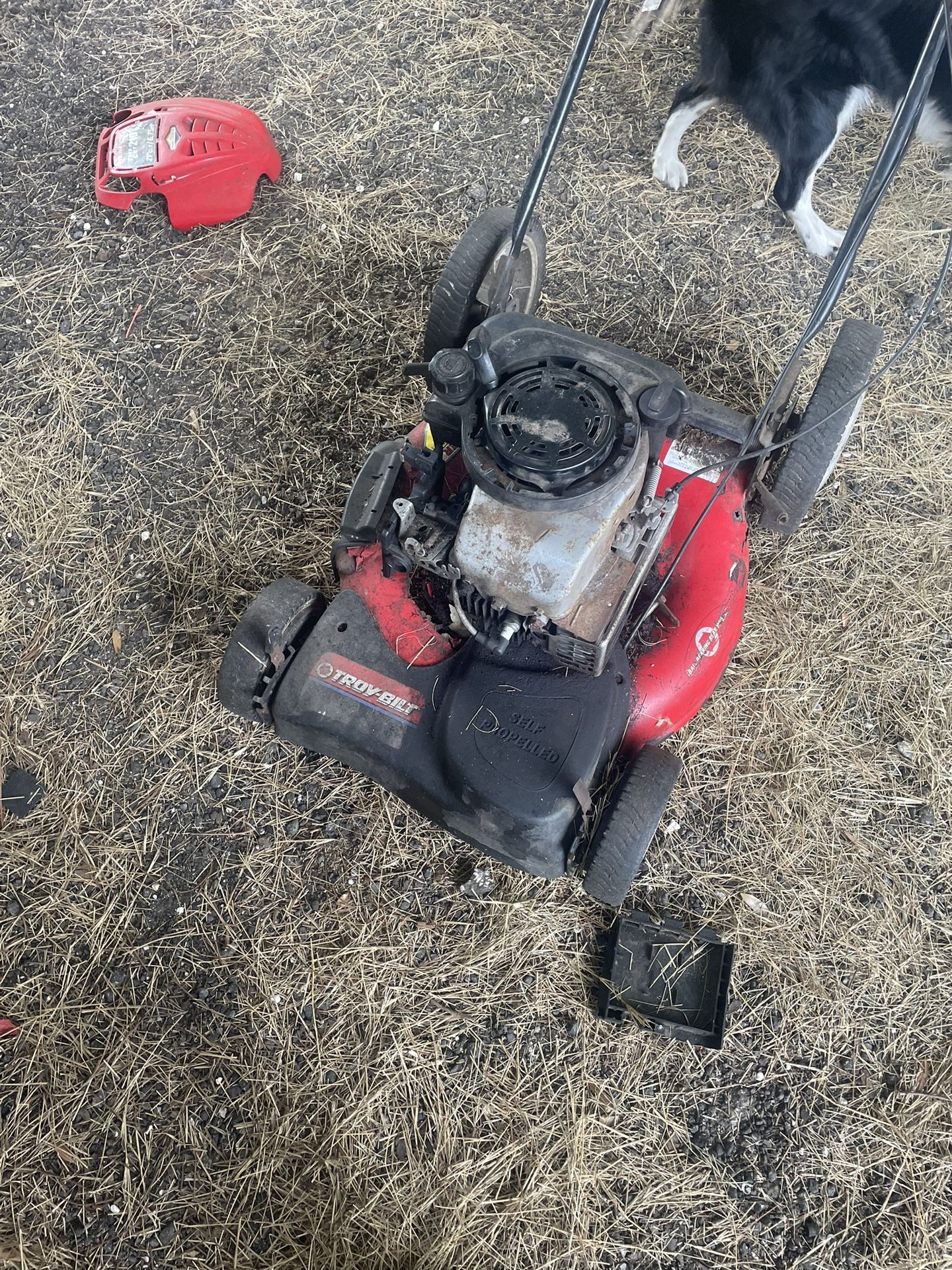 Troy Bilt Push Mower