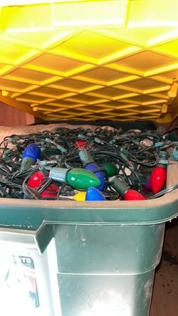 Christmas lights and bin