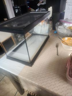 Reptile/Fish Tank
