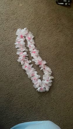 Hawaii Lace Flower