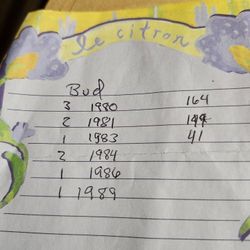 Budweiser Holiday Steins