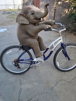 beach cruiser
