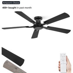 “52 Ceiling Fan. Still In The Box. 