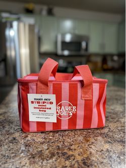 Trader Joe’s Mini Insulated Tote/ Lunch bag/ Lunchbox