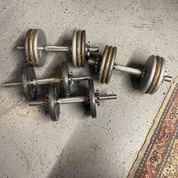 80 Lbs Weights 