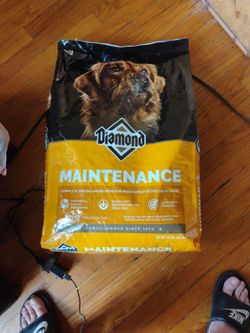 Diamond Maintenance 22/12 for Moderately Active Adult Dry Dog Food, 40 lbs.