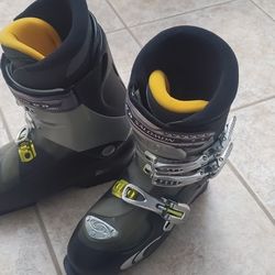 Salomon Ellipse 8.0 Ski Boot

