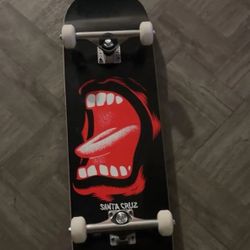 santa cruz skateboard 