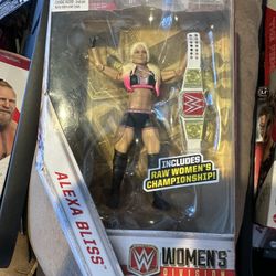 Wwe Toy