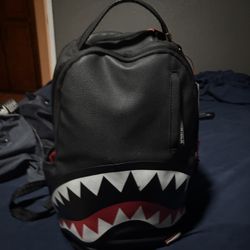 Spray Ground Backpack