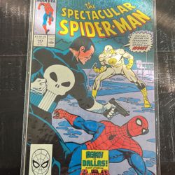 Spider-Man Comic
