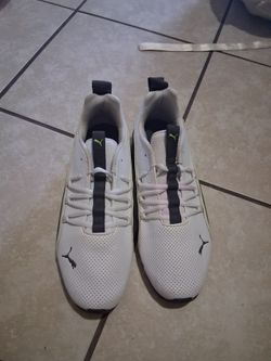 Puma's