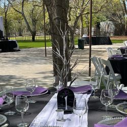 Battery Operated Centerpiece Trees 